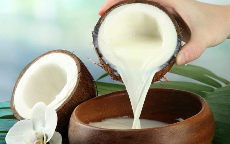 Santan dari Kelapa yang Gurih dan Creamy