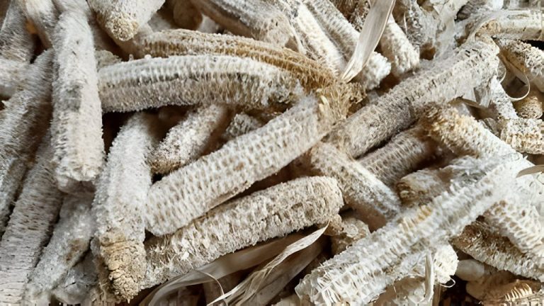 Manfaat Janggel Jagung Giling!