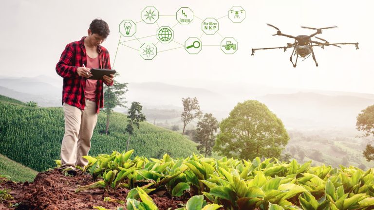 Inovasi Teknologi Perkebunan untuk Meningkatkan Produktivitas