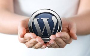 cara belajar mengelola website WordPress