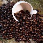 Cara Merawat Mesin Sortasi Kopi Agar Awet dan Optimal