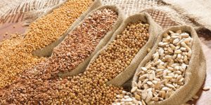 Strategi Usaha Pakan Mandiri