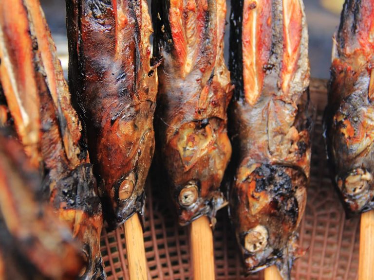 Alat Pengasapan Ikan untuk Usaha Solusi Praktis Tingkatkan Produksi dan Kualitas