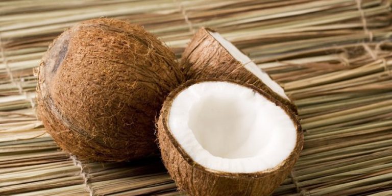Usaha Santan Kelapa Segar Menjadi Peluang Bisnis Menguntungkan