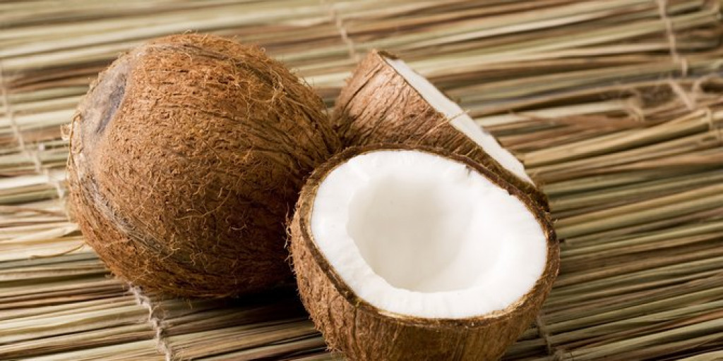 Usaha Santan Kelapa Segar