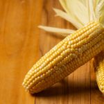 Standar Kualitas Alat Pemipil Jagung yang Wajib Diketahui untuk Hasil Maksimal