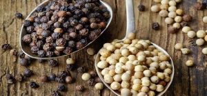 Modernisasi Pengolahan Lada Petani Strategi Cerdas Tingkatkan Kualitas Dan Daya Saing