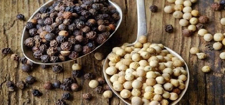 Modernisasi Pengolahan Lada Petani Strategi Cerdas Tingkatkan Kualitas Dan Daya Saing