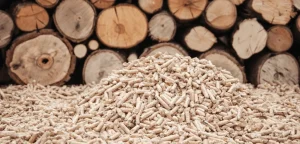Solusi olah limbah kayu produktif