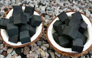 Cara Buat Briket Arang Sendiri dengan Mudah dan Hasil Berkualitas