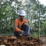 Metode Konservasi Tanah pada Lahan Bekas Tambang untuk Mendukung Reklamasi Berkelanjutan