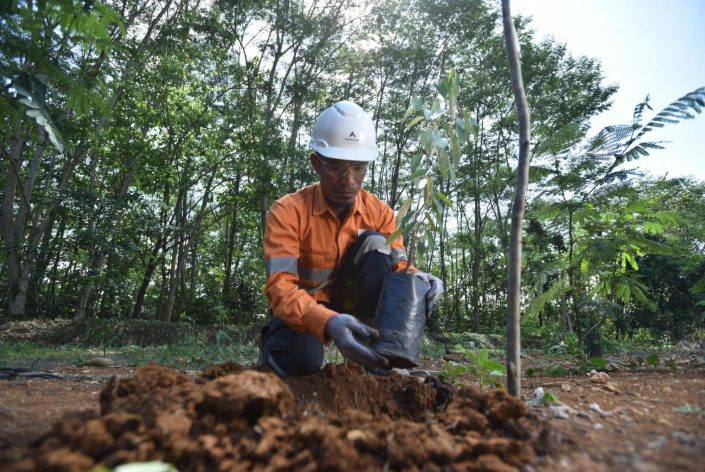 Metode konservasi tanah pada lahan bekas tambang