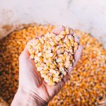 Efisiensi Tenaga Kerja pada Proses Pemipilan Jagung agar Lebih Cepat dan Produktif