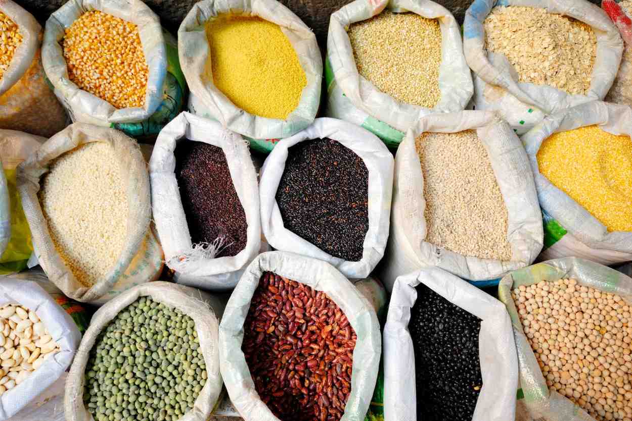 Efisiensi Produksi Olahan Biji Bernilai Tinggi untuk Hasil Lebih Menguntungkan